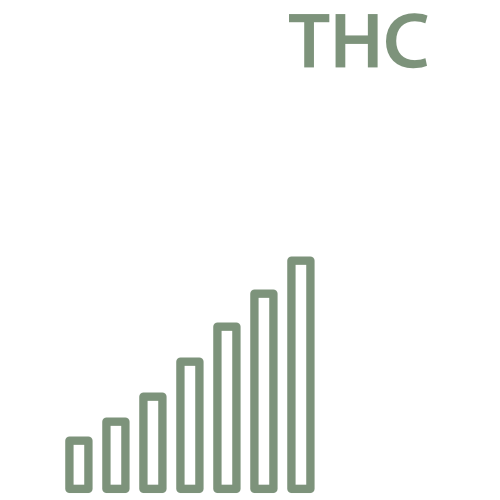 THC Gehalt von Cannabis Samen Blueberry (Sämling) - 3 Stück